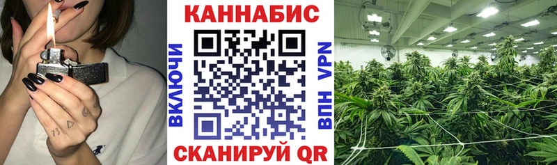 сколько стоит  Староминская  Каннабис ГИДРОПОН 